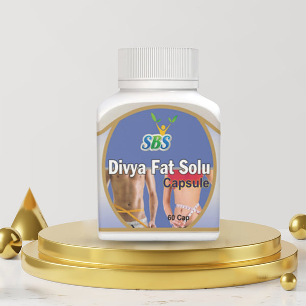 Divya Fat Solu Capsule