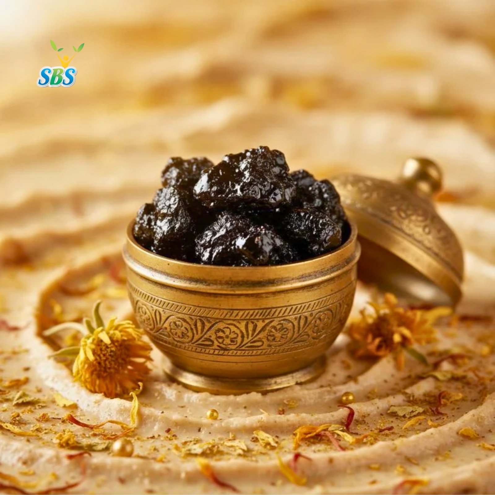 Shudh Shilajit